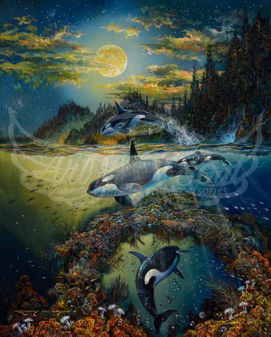 Orca Ocean Souls by Robert Lyn Nelson
