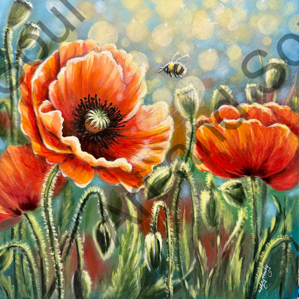 Poppy Garden by Holly Hanley