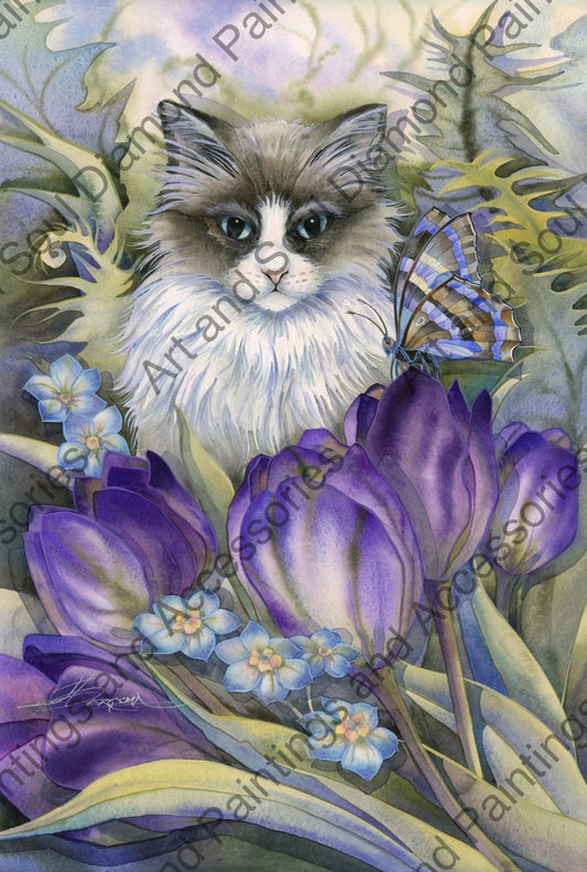 Tulip Cat by Jody Bergsma